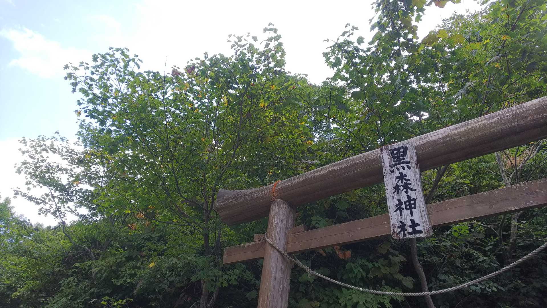 黒森山 往復コースの写真