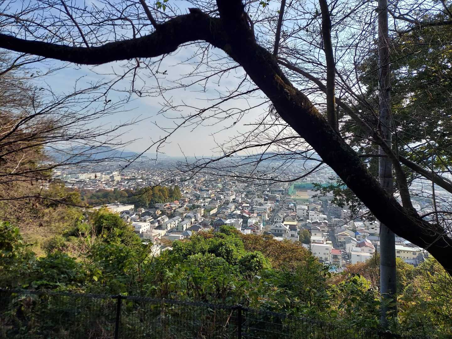 静岡のお街が見えます