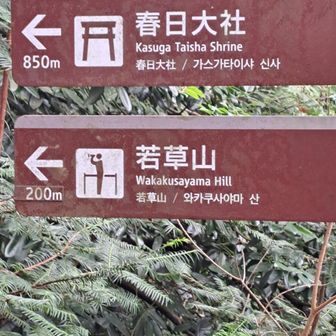 若草山へ行くよ～👍️