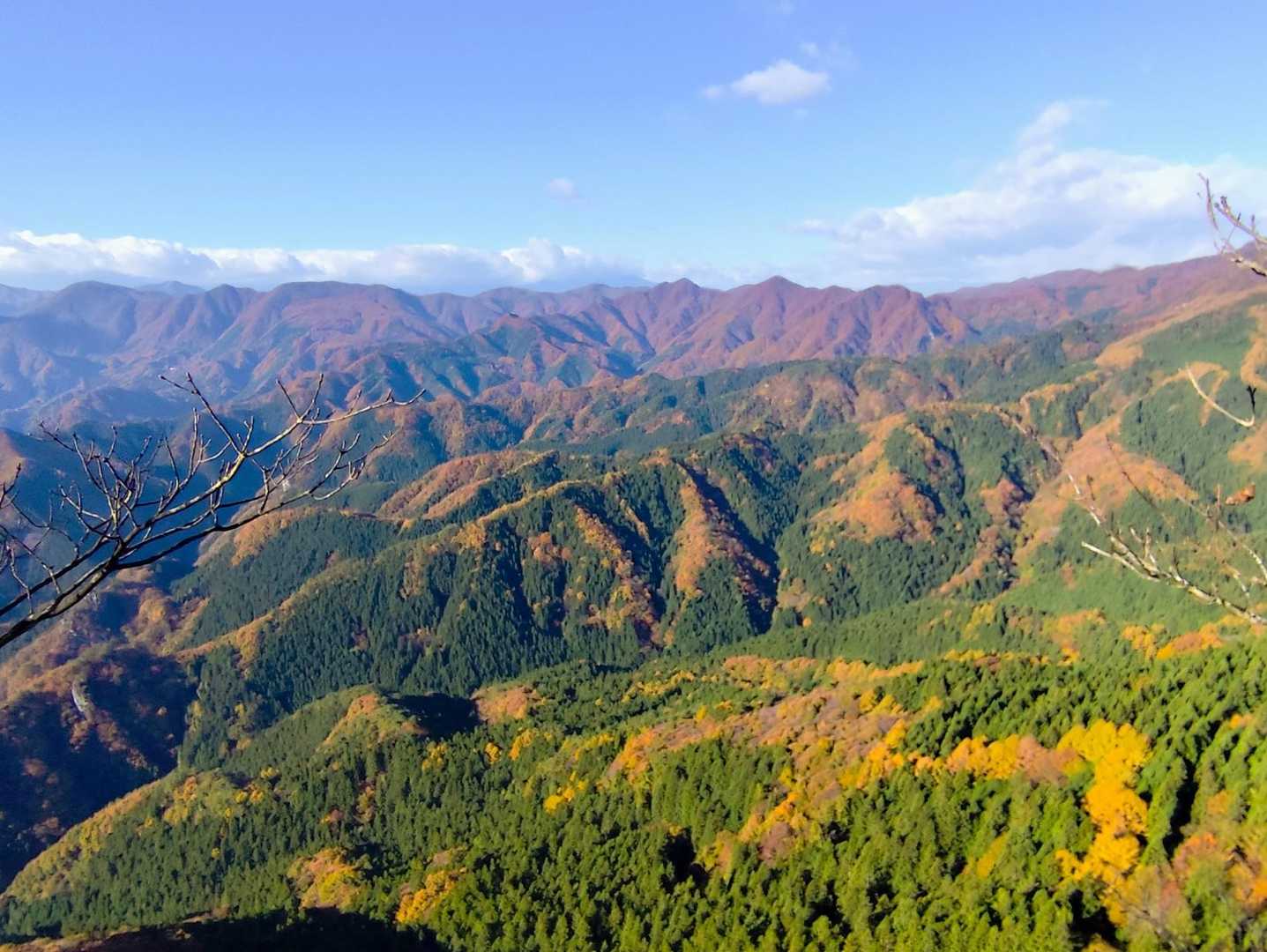 南側の景色です　上野村方面です🤩