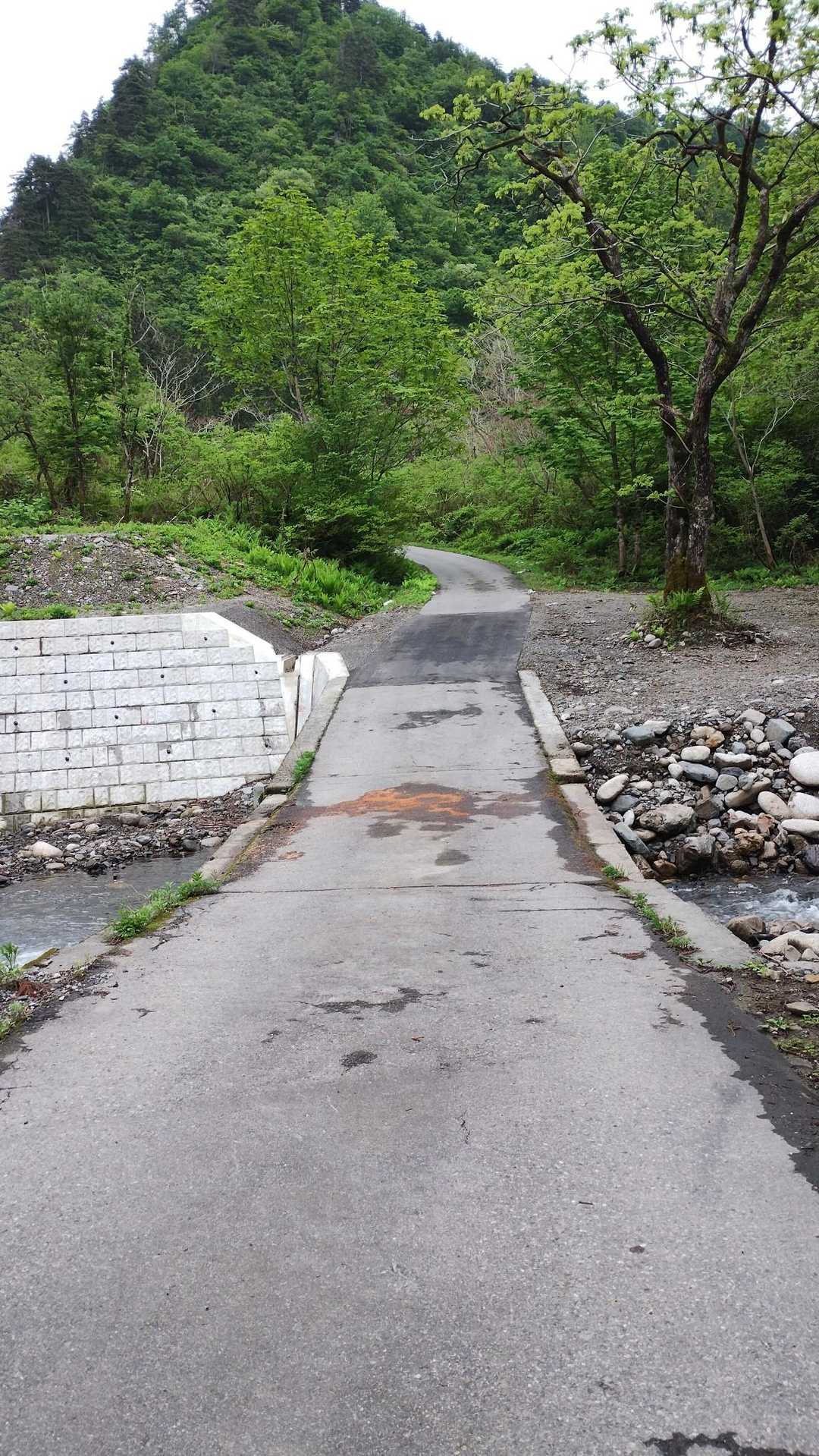 自転車で来ても坂を漕ぐの大変だろうな。自転車ないから歩きですが😓