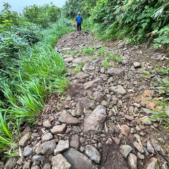 濡れたレインも乾いてよかったね〜
と調子よく歩いていたらもうひと雨☔️
残念過ぎる😢

【生まれかわりの旅】はそう簡単ではありませんでした🤣