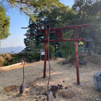 この鳥居⛩️見かかったんよー