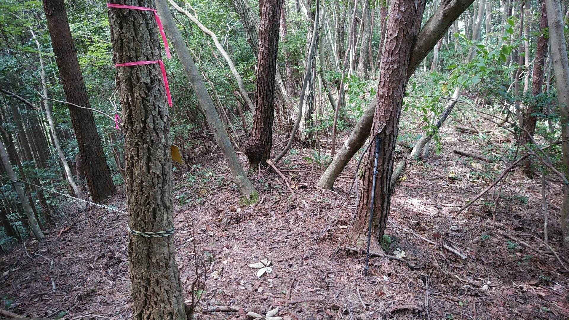 間違えやすい場所。尾根から左側の沢に下ります。
