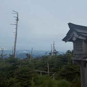 これが最後の晴れ間になるとは☁️