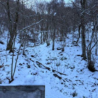 くるぶしくらいかな