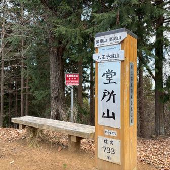 堂所山に寄り道。陣馬山側から見てこの手前にある、縦走路に下る急坂は、進行方向右側を下ると楽である。
