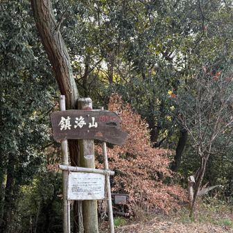 1座目はすぐ着きますが、想像よりは急な登りでした。低山らなめてました。