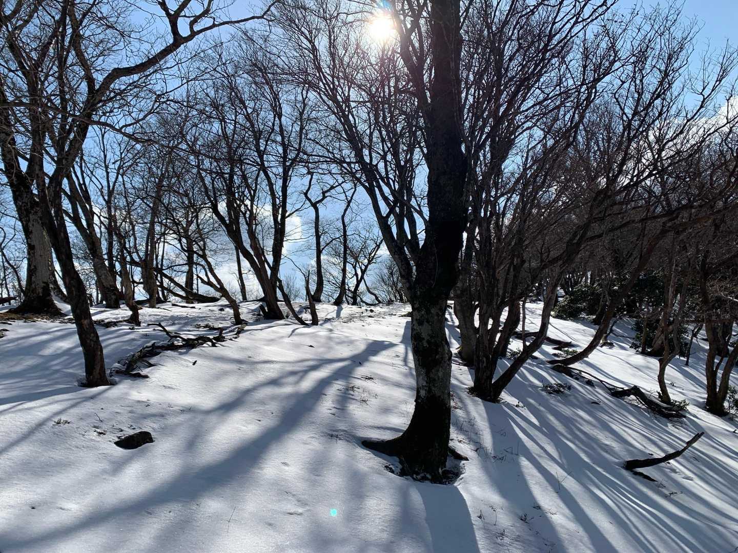 帰り、権現山手前にて
あぁ、今日の良き日もあと少し、、、