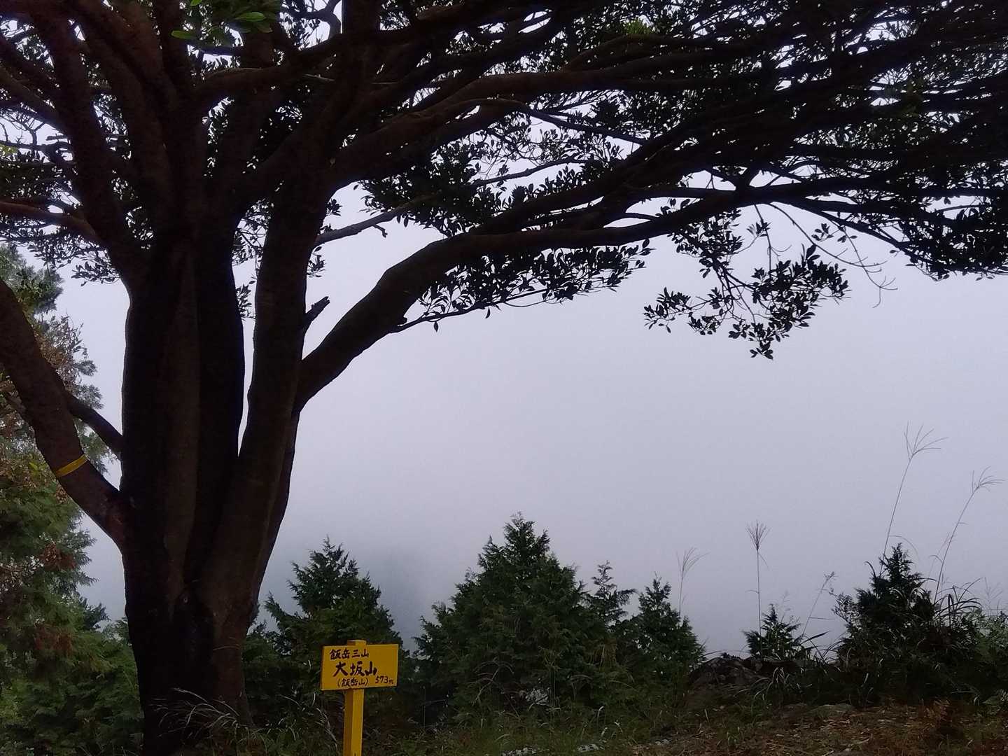 大坂山の山頂に着きました。
本来は良い眺望なのですが、今日はモヤで見えません。時々煙のようなモヤが山頂に流れてきます。