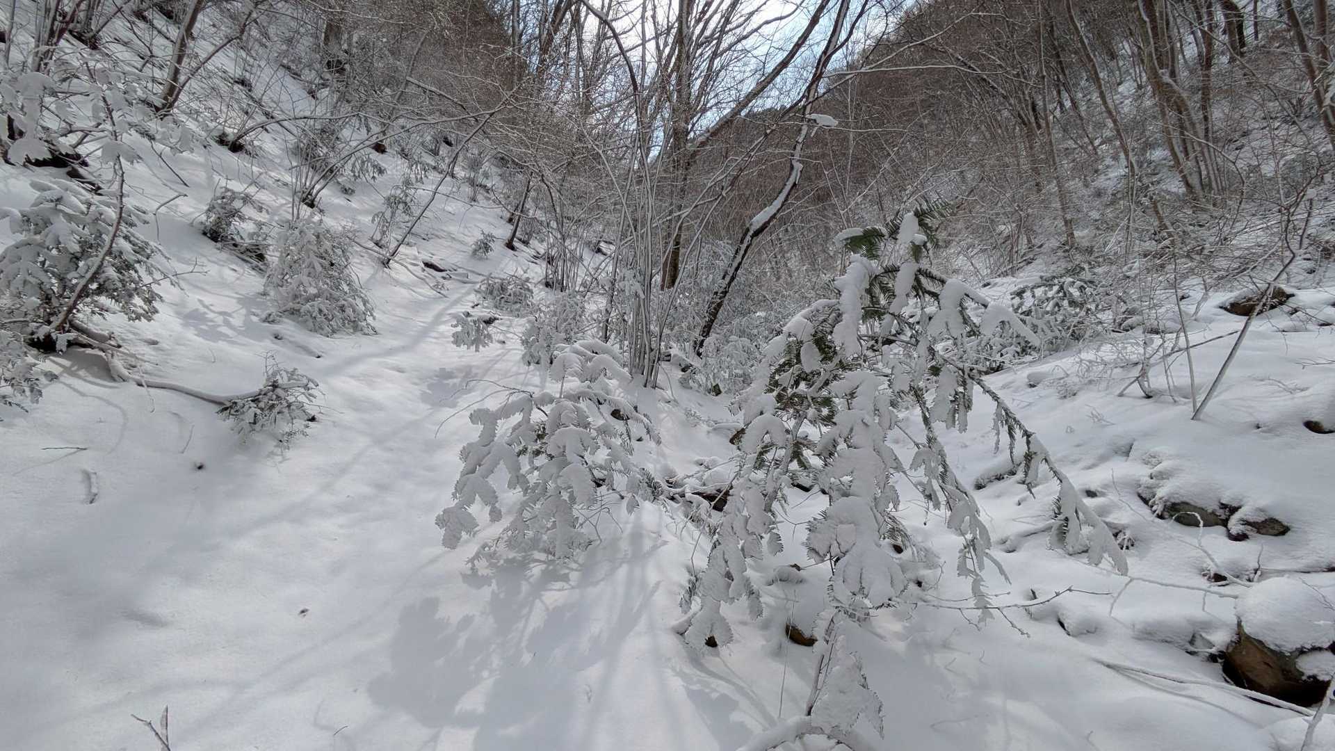 今季の雪山は終わったと思ってたから
ラッキーではあるな😶‍🌫️