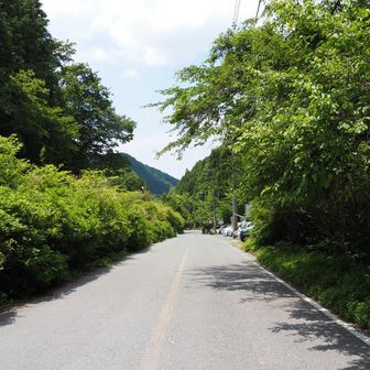 ここから大阪府道705号・富田林五條線を約２km歩きます。
伏見峠から舗装路ばかりです。

今後はこのルートはもうやめておきます😥