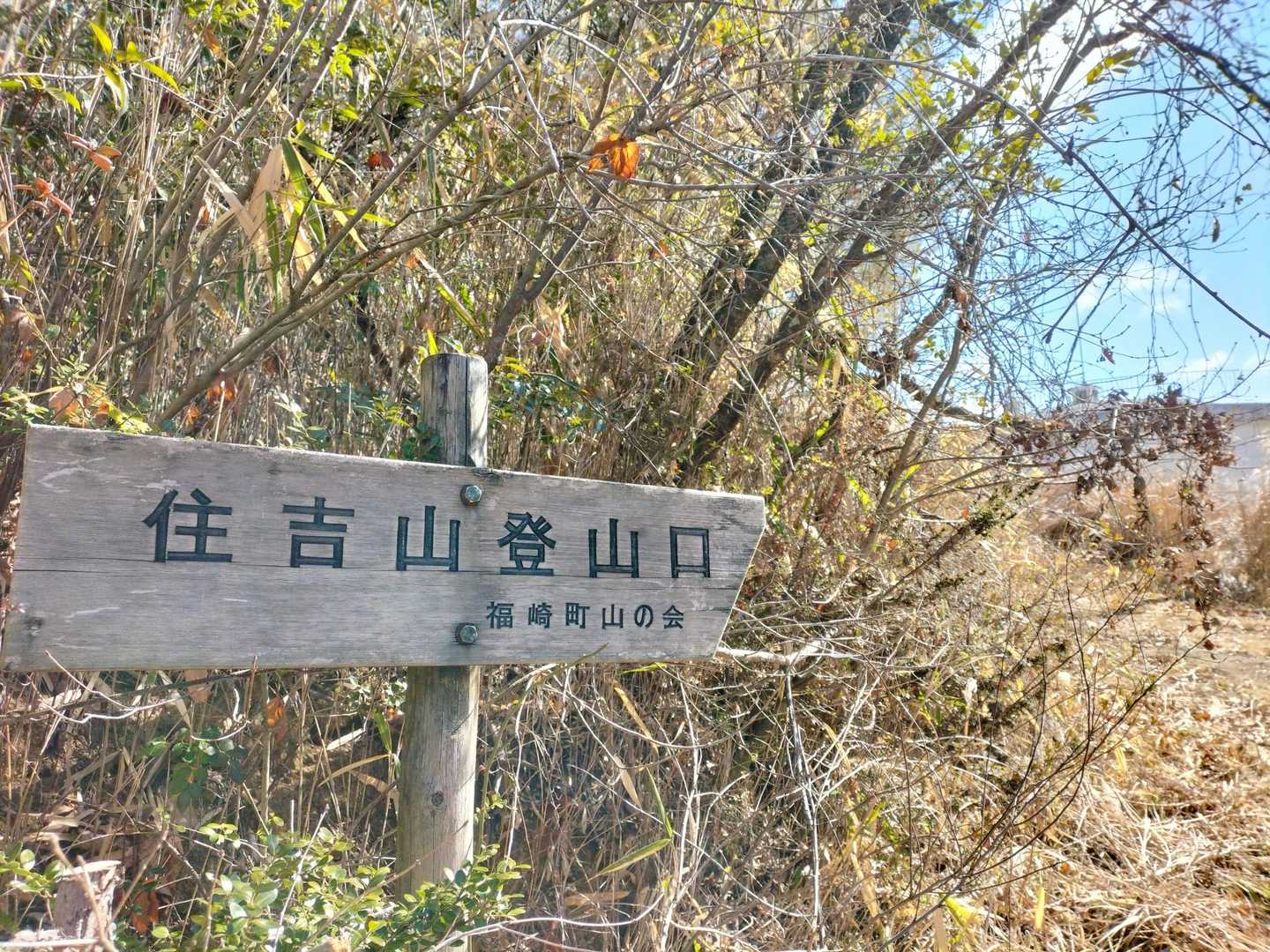 全体的にわかりやすくキレイな登山道