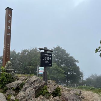 峠。ここから下り下り下り。