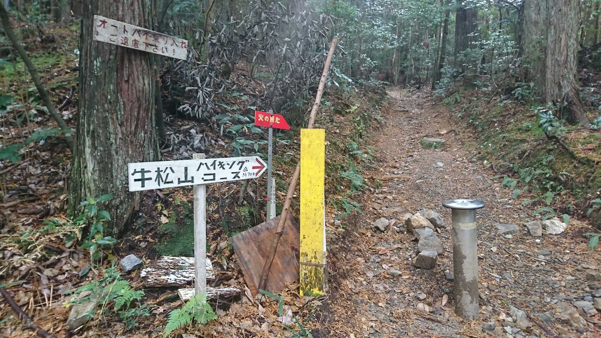 ここからが、登山道