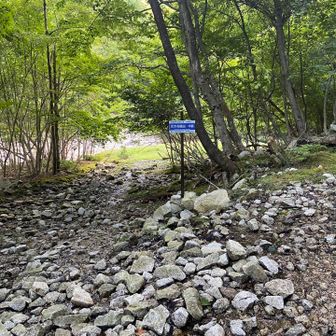中峠の登山口から本格的な登山スタート