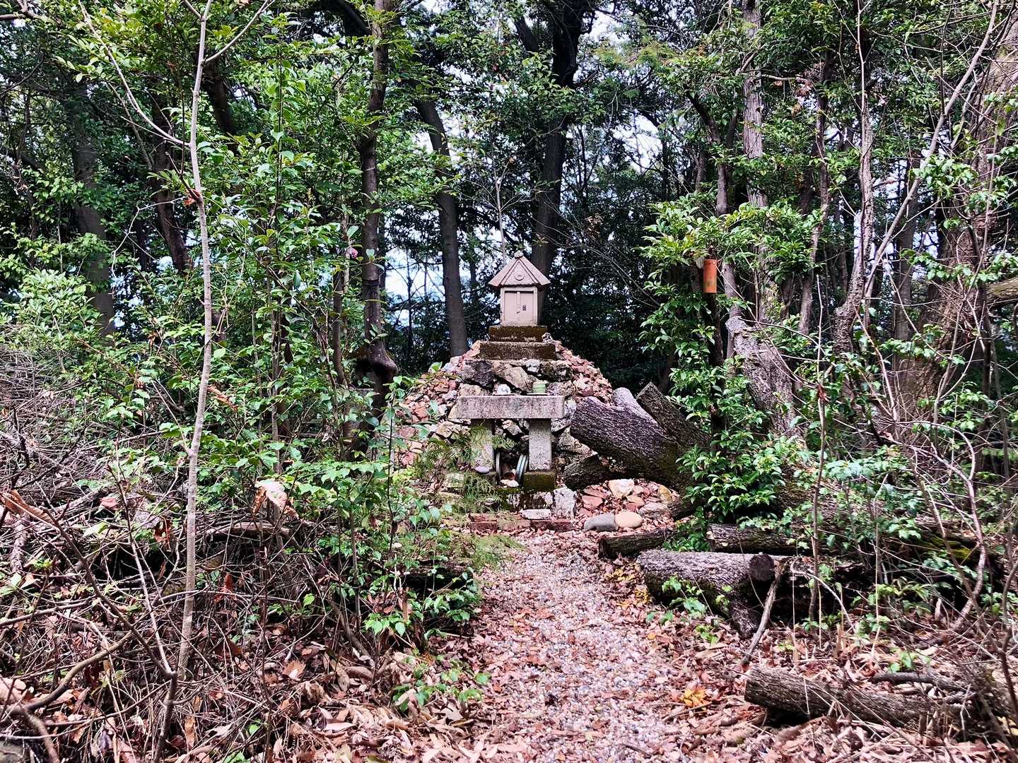 十六所山のピークに到着！
眺望はなし。ピストンで本殿に戻ります。