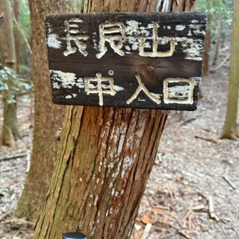 ここから急登が始まります