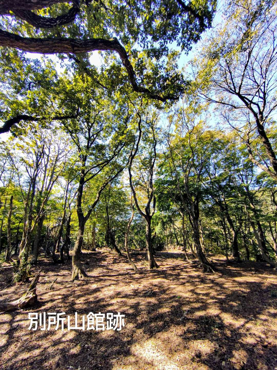 中谷山-別所山-行市山 往復コースの写真
