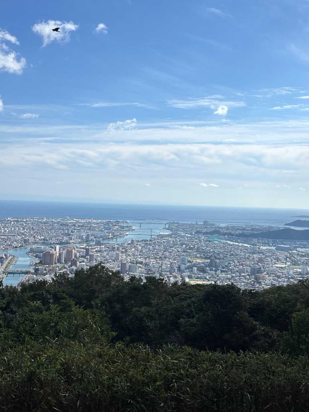 諏訪神社-眉山 往復コースの写真
