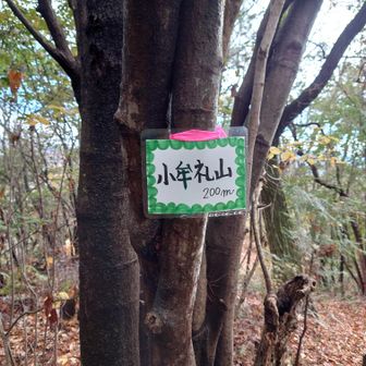 小牟礼山とうちゃこ♪
＼(^o^)／
やいちんさんの山名板です♪(人''▽｀)ありがとう☆