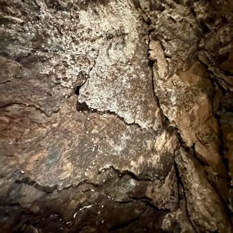 天井にコインを差してる珍光景
正式云われはなく、観光客が記念に挟んだものが蓄積された珍景
