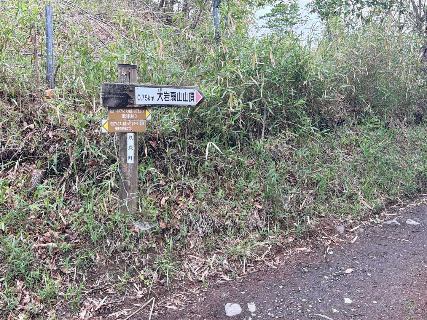 では、気を取り直して大岩扇山に進みます。