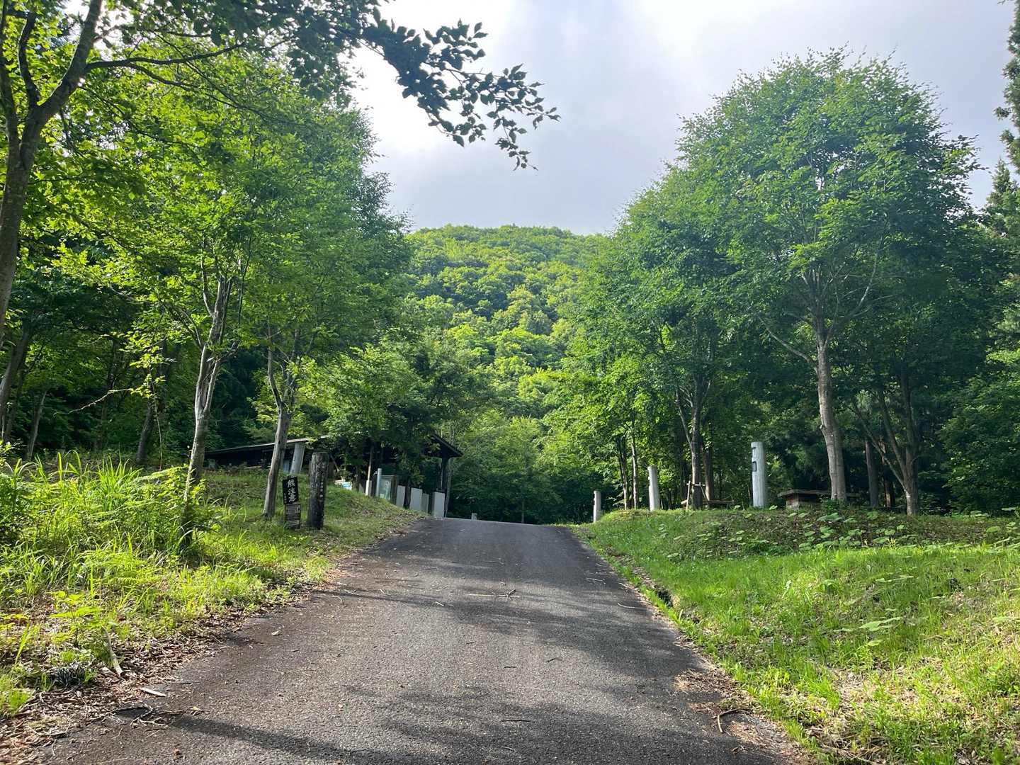 行くぞー‼️おー‼️