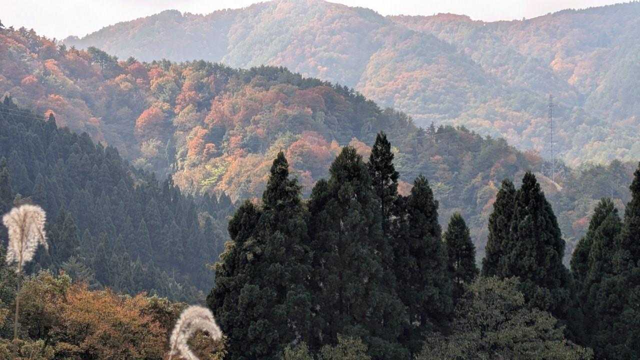 三徳山 往復コースの写真