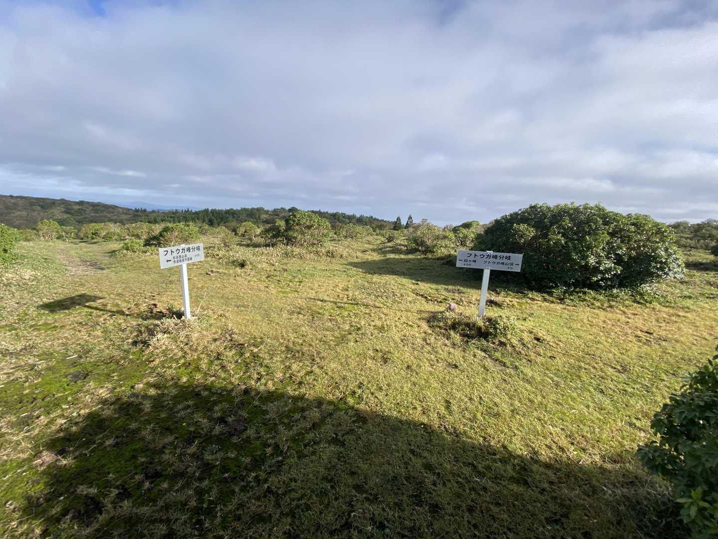 フトウガ峰ピーク？と思ったら分岐でした😅