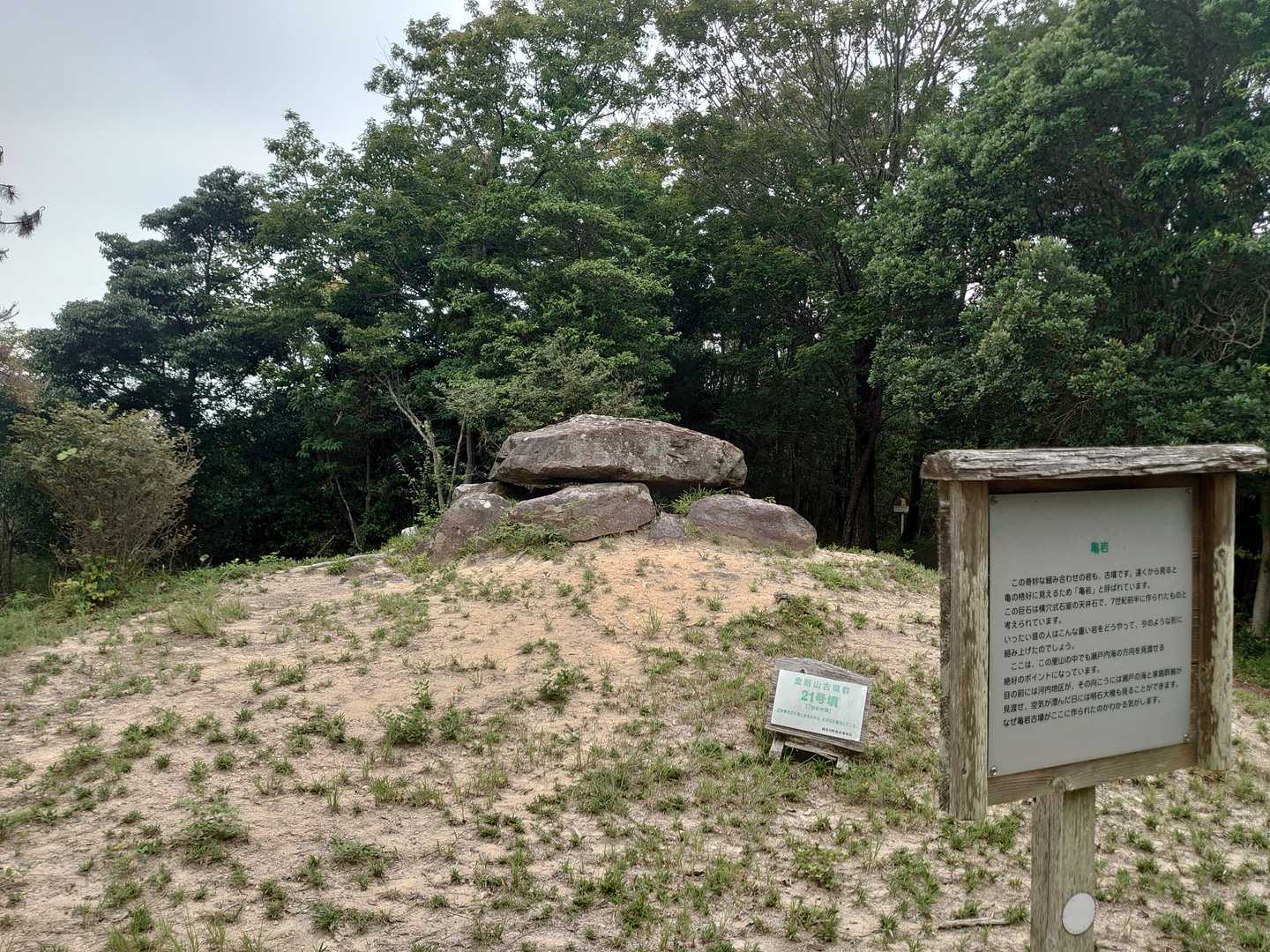 亀岩？？亀🐢っぽくないし展望台でもない。