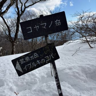 コヤマノ岳
今日はここまで