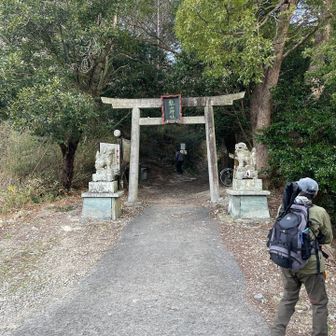 表参道の鳥居は潜らず右へ逸れて裏参道へ