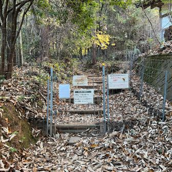 左回りで行きまーす