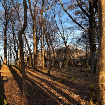 振り返れば富士山が