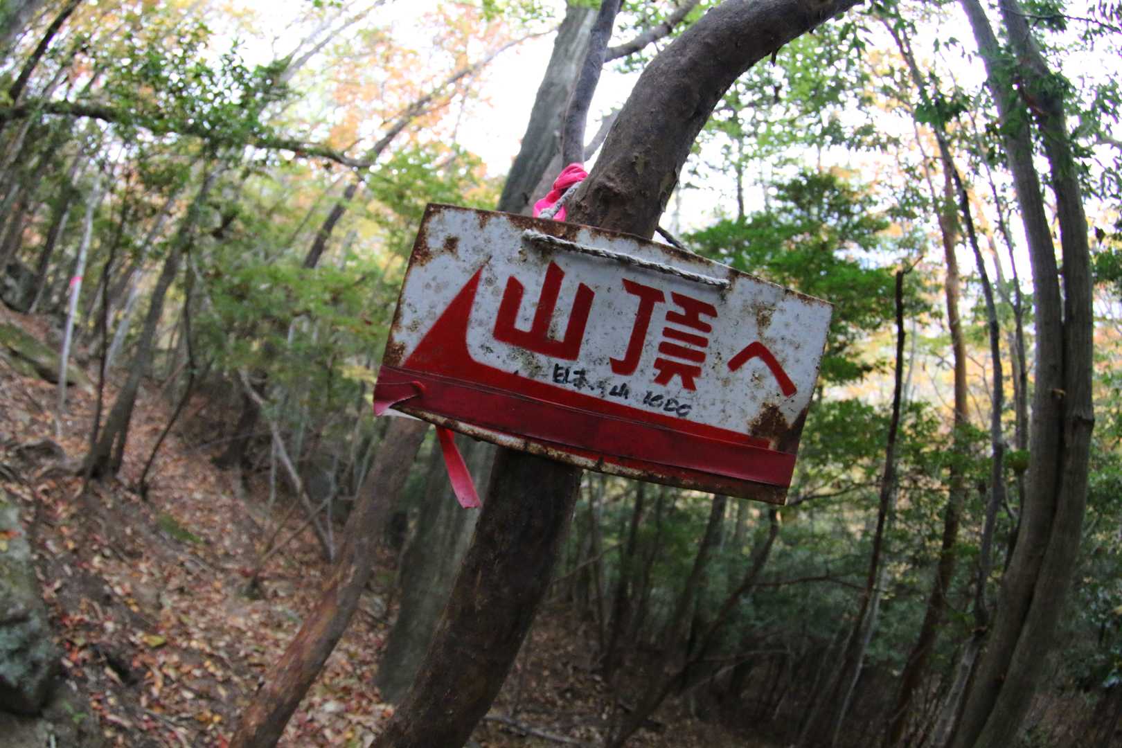 頂の字体に痺れる～