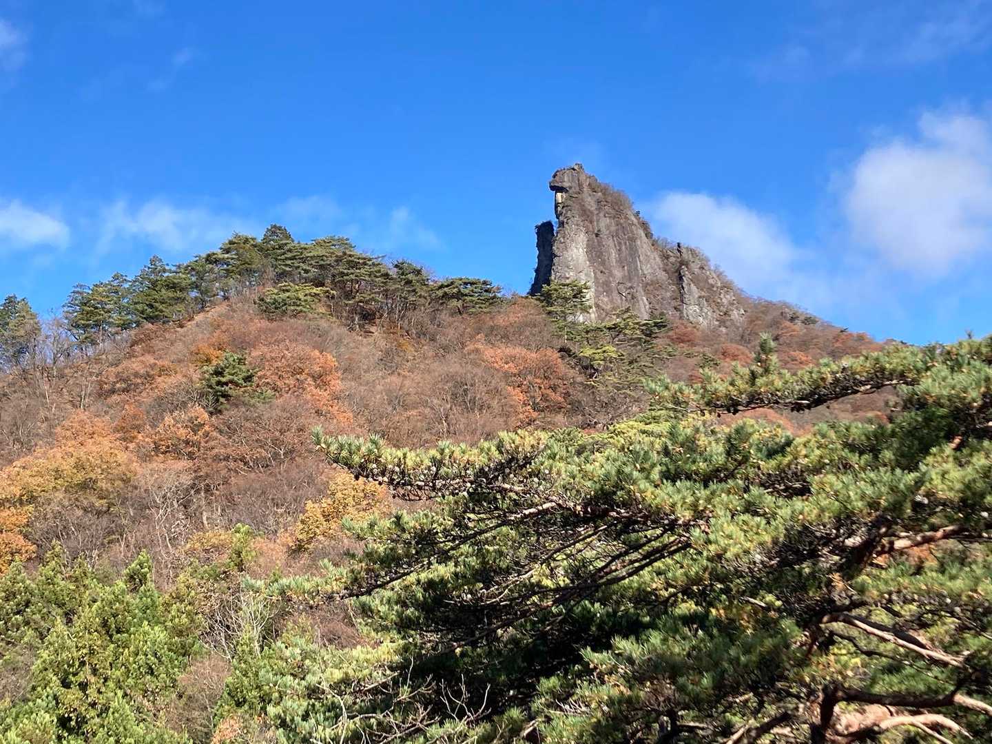 7号橋登山口-子持山 往復コースの写真