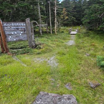２９９からまた、登山道へ