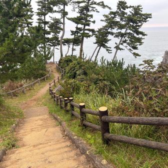 駐車場と展望台までのトレイル