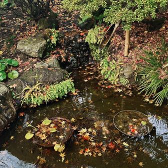 時間無くて、ゆっくり拝観できなかった😅