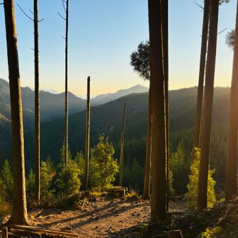 ようやく朝陽が昇ります☀️