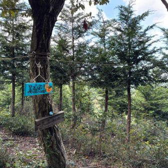途中のピーク、展望なし。
稜線上のコースだが、グライダー発着場の次は鉄塔と多度山山頂まで展望なし。