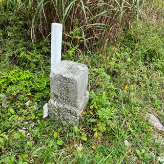 点名: 薊野峰
標高: 1402.93 m
種別: 一等三角点