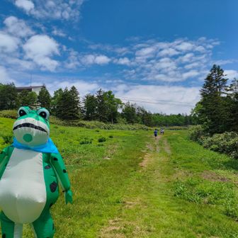 あかぶこ