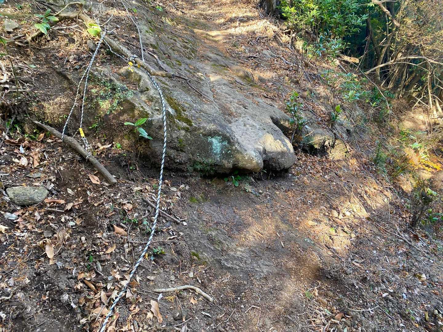 岩から普通に降りたら崖側に下半身ごとスコーンと🥹
ロープには意味があります‥
アドベンチャールートでは気をつけていたのですが。正規ルートで油断しました‥