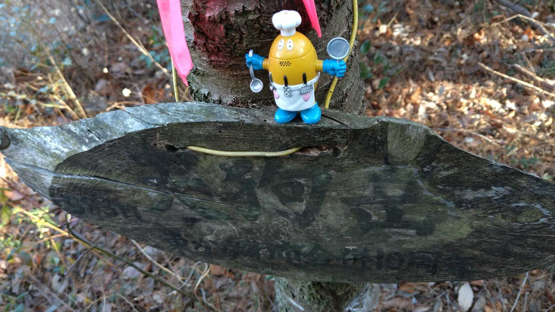 天狗岳にはすぐとうちゃけ('ω')ノ