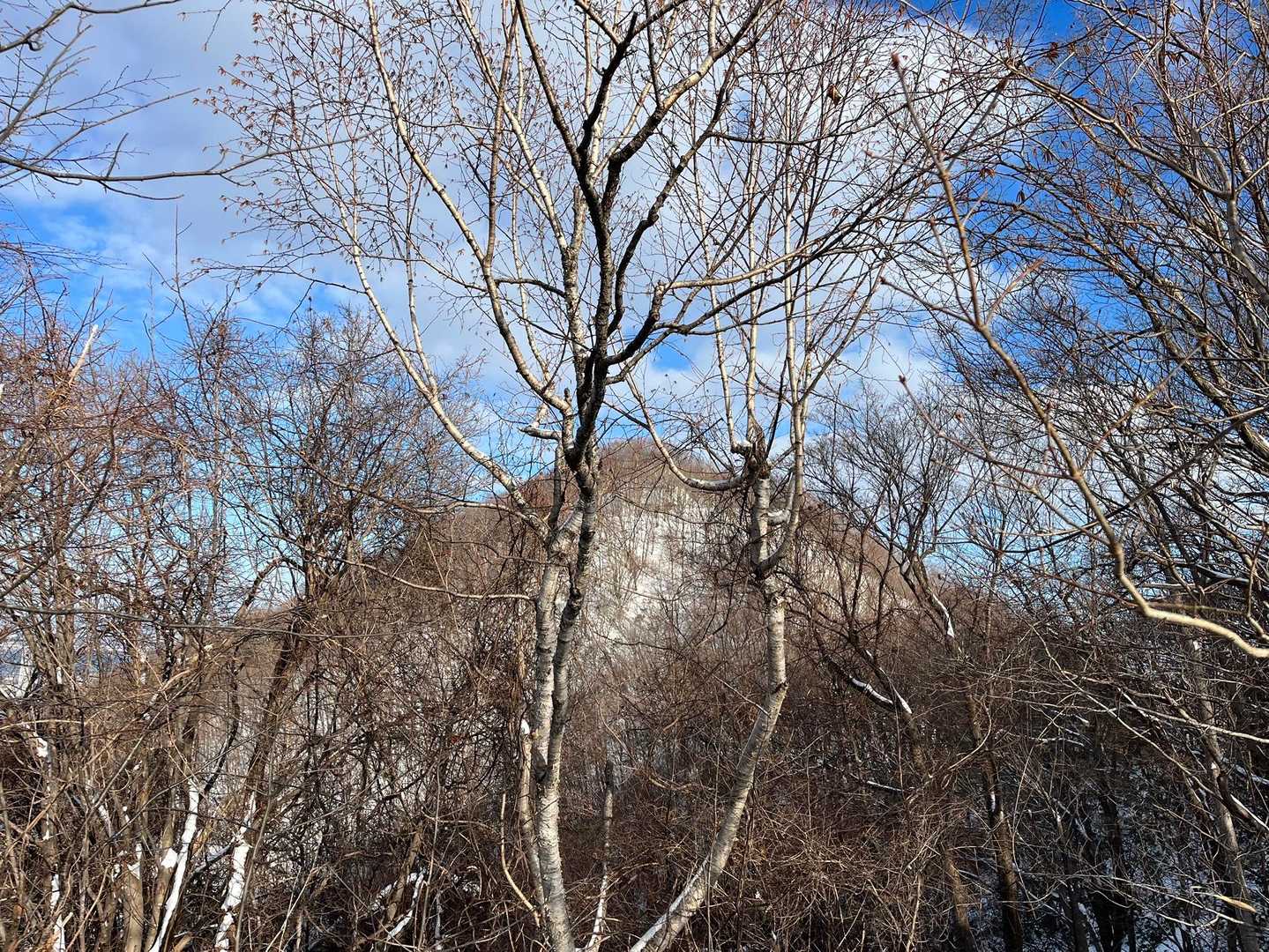 P260から降りたところで三角山🏔️