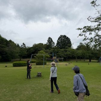 公園だ🛝
桜の木がいっぱいで、春にくれば綺麗かも🌸