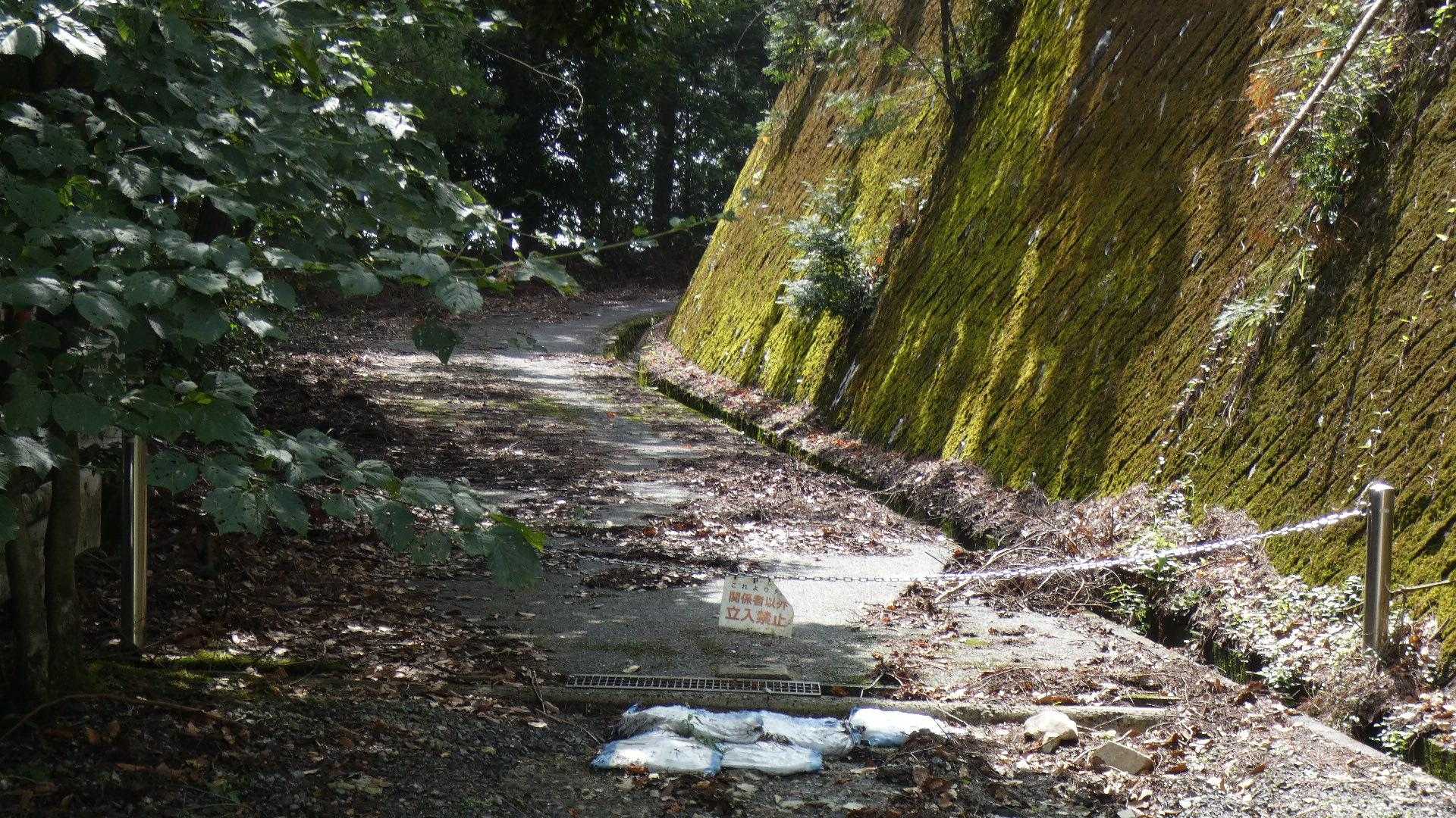 中尾山山頂は立入禁止とあるのでスルー。
作業道で巻きます。
