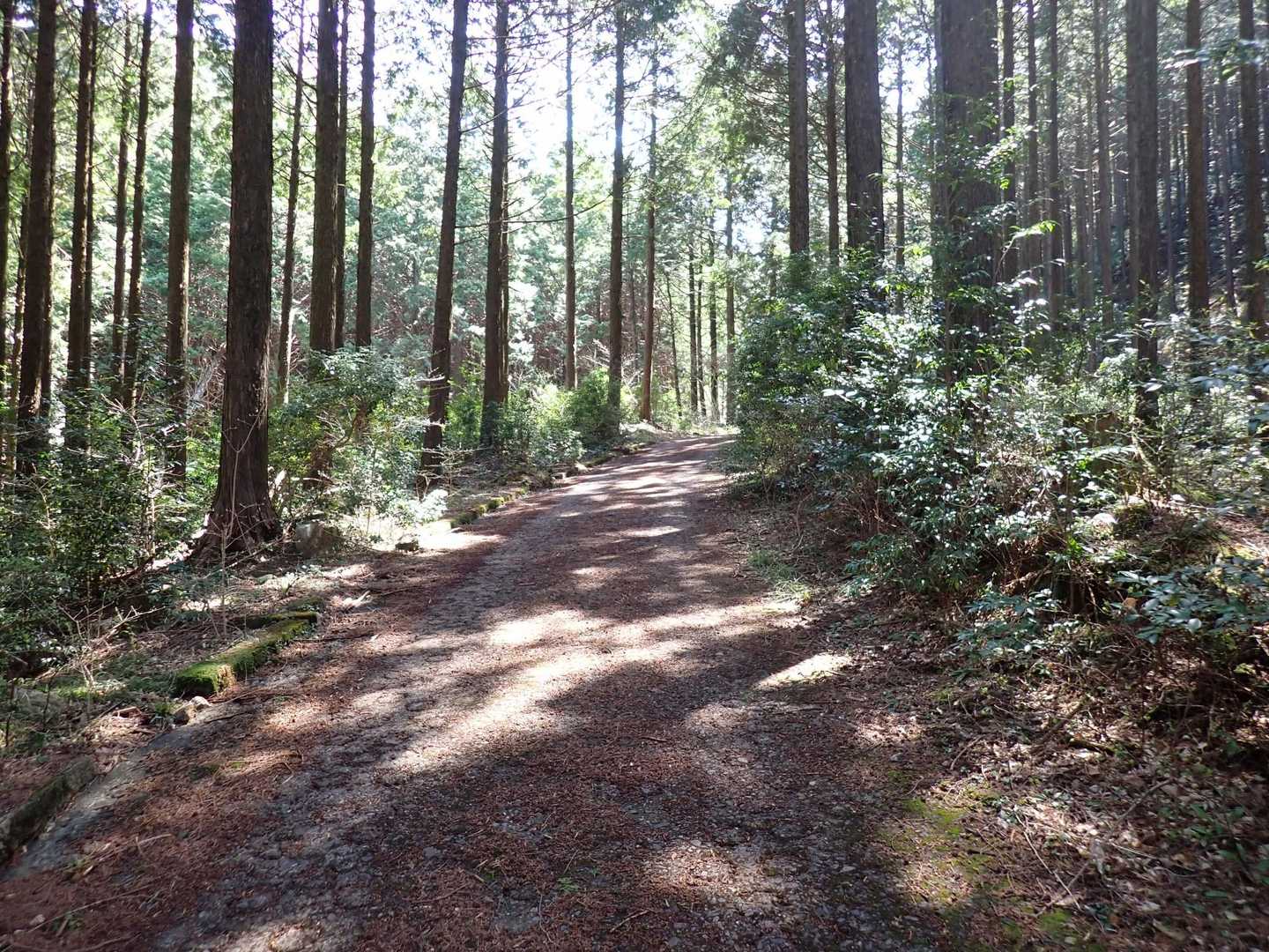 
登山口まで舗装路歩きです